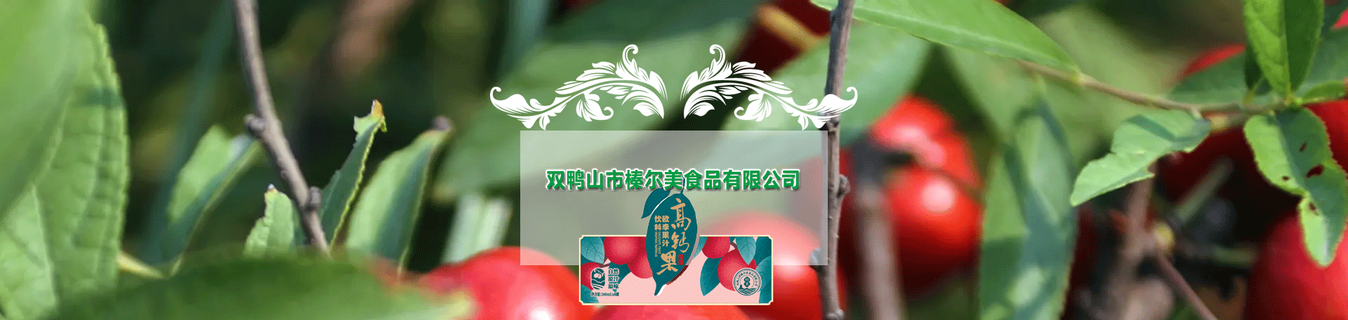 公司簡(jiǎn)介